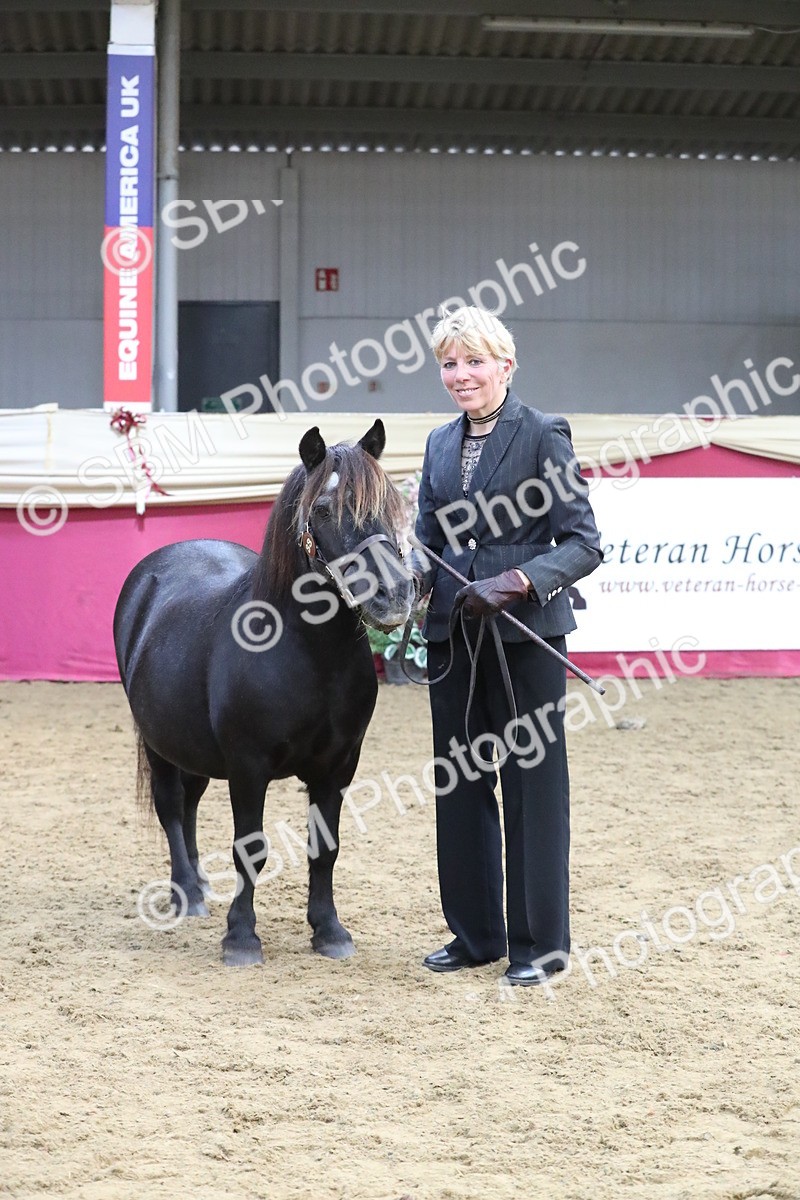 SBM_15362 - Class 501 M&M IH Supreme Final