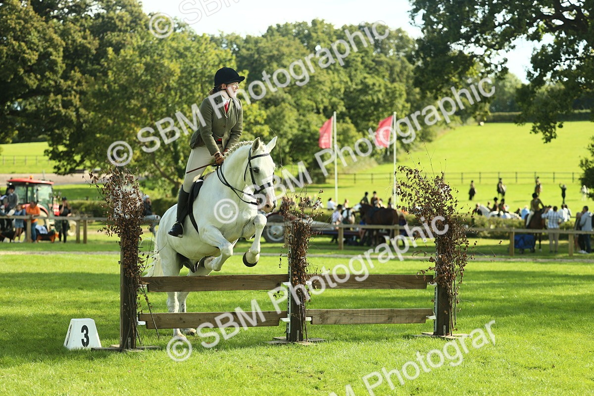 SBM_50544 - S33 - Working Hunter & Working Show Horse
