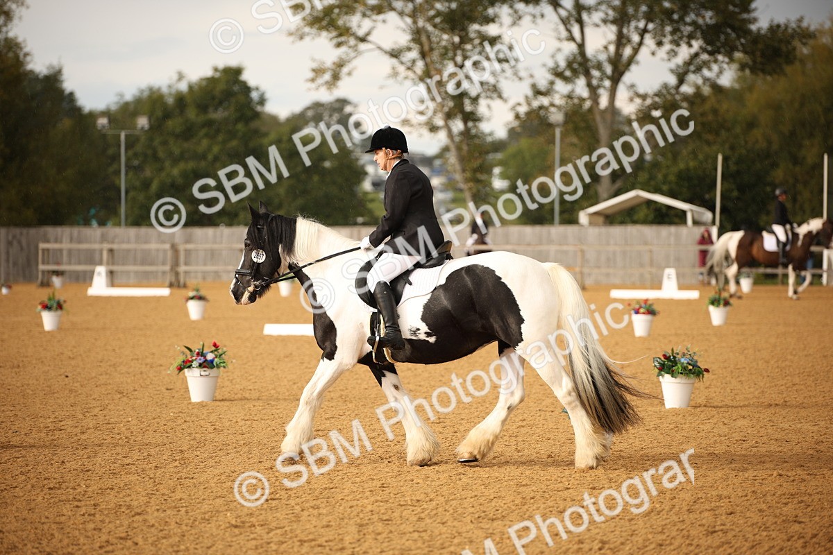 SBM_12388 - D3 Small  Tour Championship Intro A