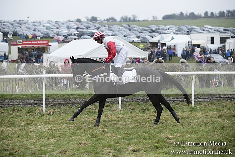 PtP 020418 -13 - Old Berks Point-to-Point Races Easter Monday 02/04/18