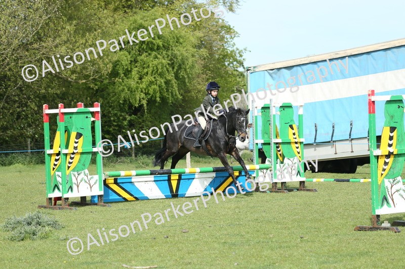 20260426-1479 - Class 14 - Novice 60cm