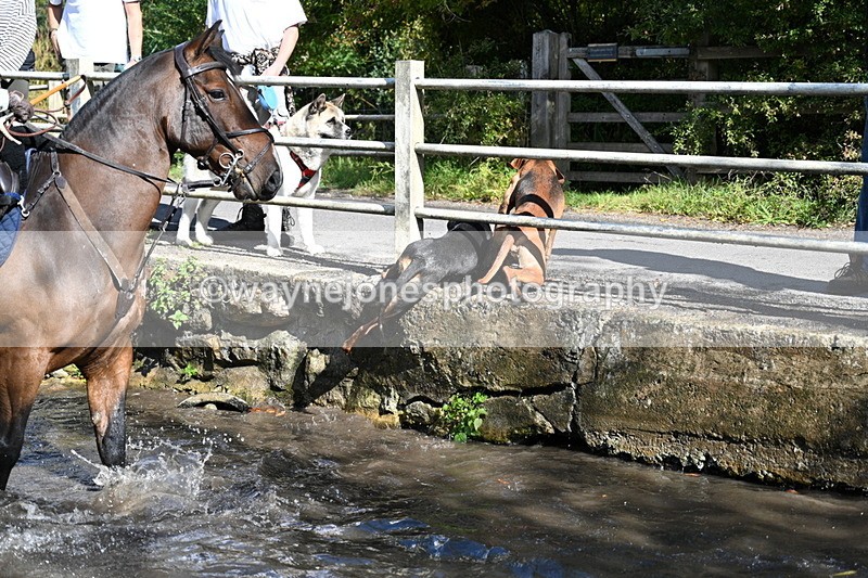 WJ7_6026 - Hounds Water Crossing
