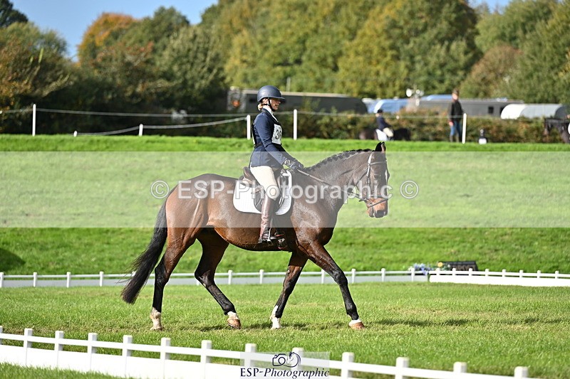 251024A-135002-12250 - D-366-Blythe.Jopling