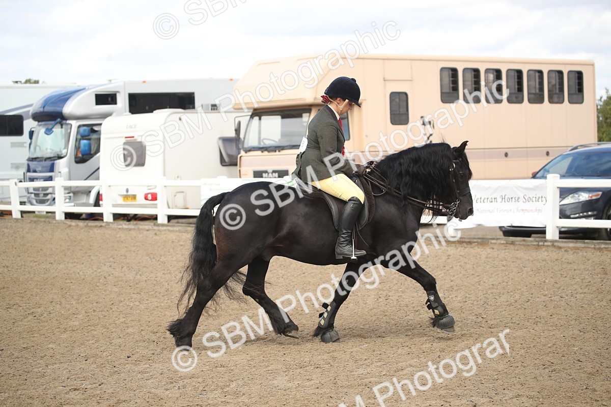 SBM_15191 - Class 505b - M&M Working Veteran - 50cm (20+)