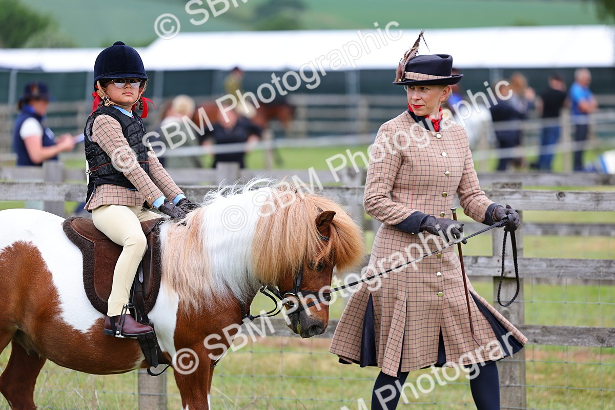 SBM_08071 - Class 42-43 - LIHS BSPS Heritage Working Sports Pony