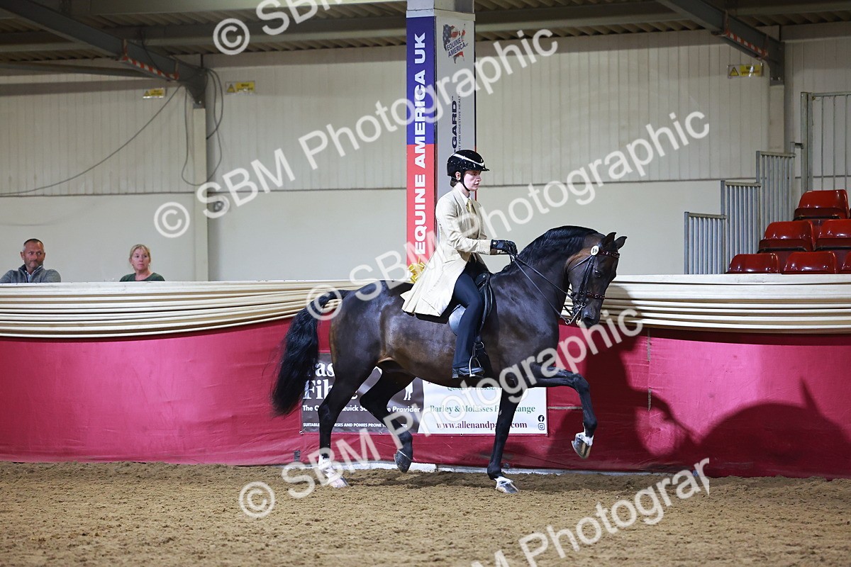 SBM_15492 - Class R - Veteran Champ