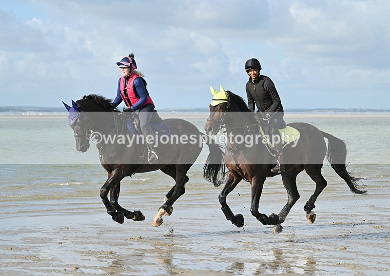 WJ7_4429 - Kellie & Churchill ... do Hayling Island 25-08-24