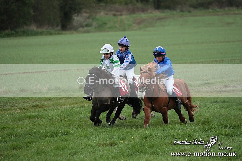 SHETPR 210425 178 - Shetland Ponies Paxford Races 21/04/25