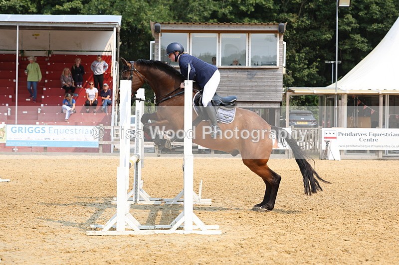 3E7A1630 - Class 4: Senior British Novice/90cm open