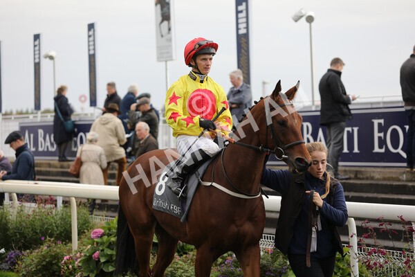 yr07102022r3-11 - Race 3 3.15pm British EBF £100,000 2yo Series Final (Colts and Geldings)