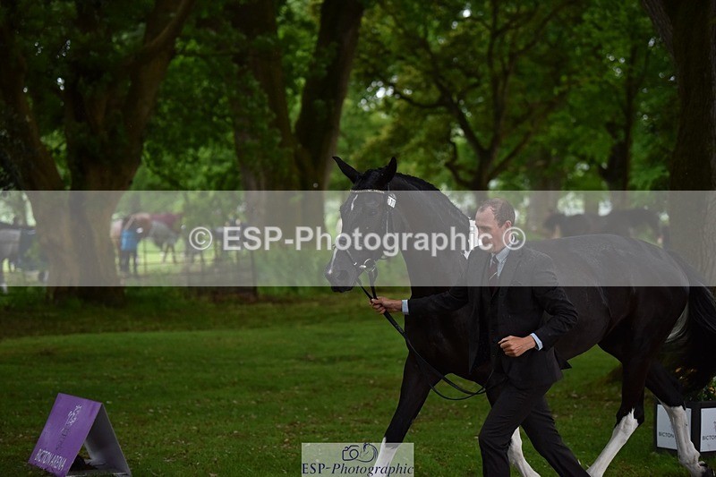 240522-151356-00185 - 377-HONEYBROOK_EXTRA_SPECIAL-Tom_Rowland
