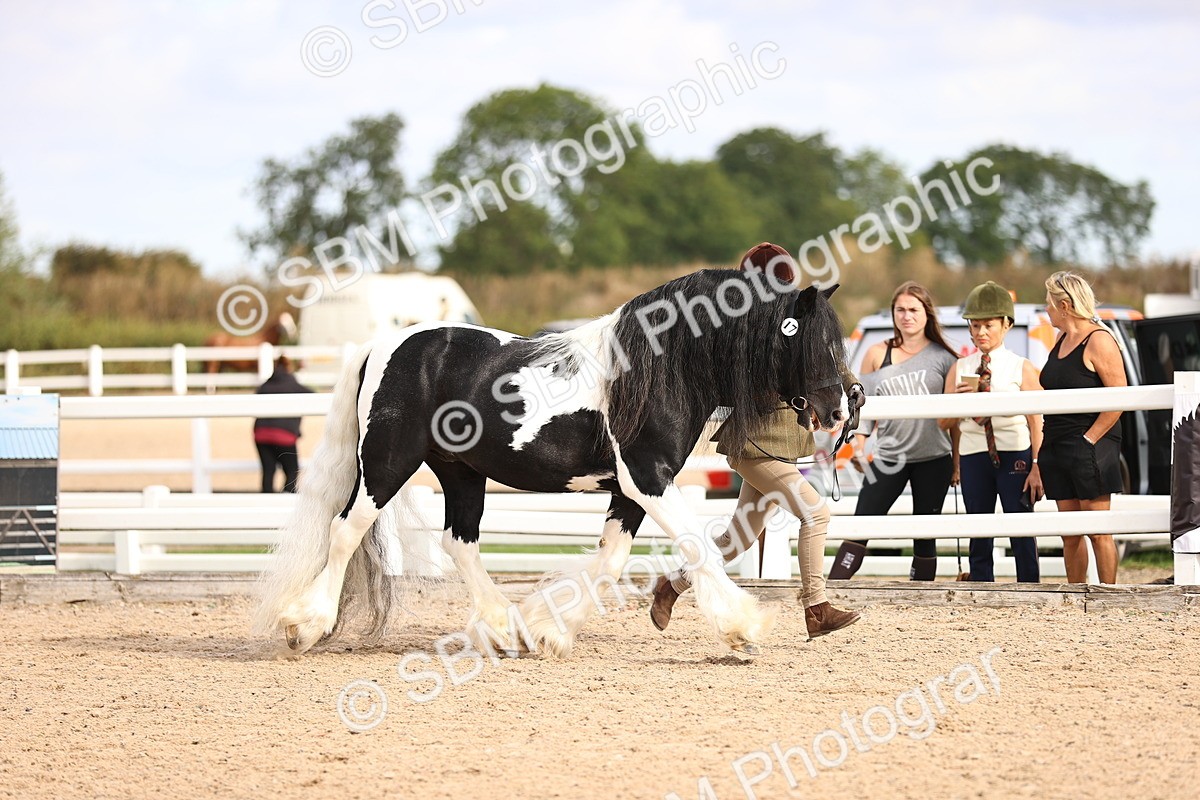 SBM_09292 - Class 404 - IH Traditional - Native Cob