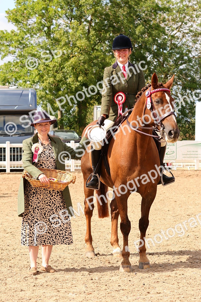 SBM_14162 - Class 213 - Ridden Hack Riding Horse