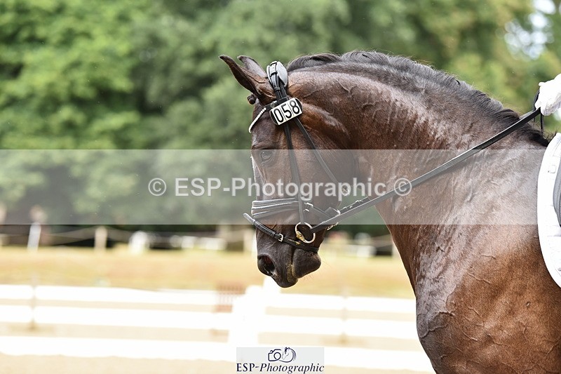 140109A-224438-08279 - 058-Molly.Webb-Hawtins.Siracusa