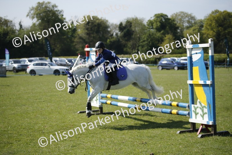20250427-2057 - Class 13 - Novice Jumping 60cm