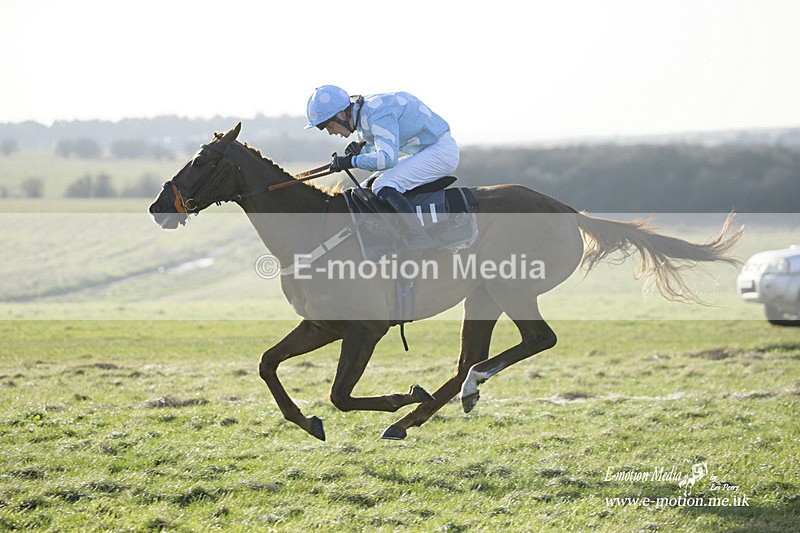 PtP 270222 548 - South & West Wilts Point-to-Point Larkhill 27/02/22