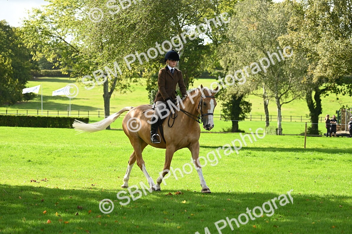 SBM_01545 - S2 - TSR Ridden Horse Showing