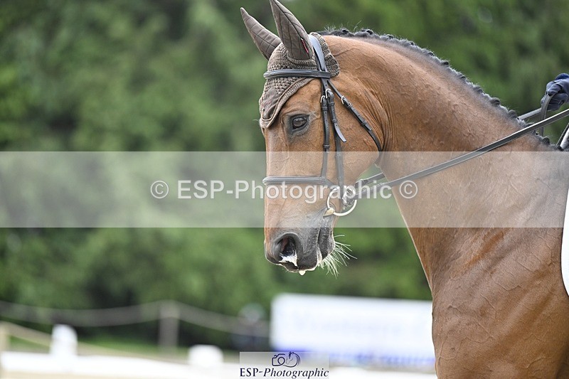 240523-164255-05503 - 446-SOMMERSBY-Jenny_Caras