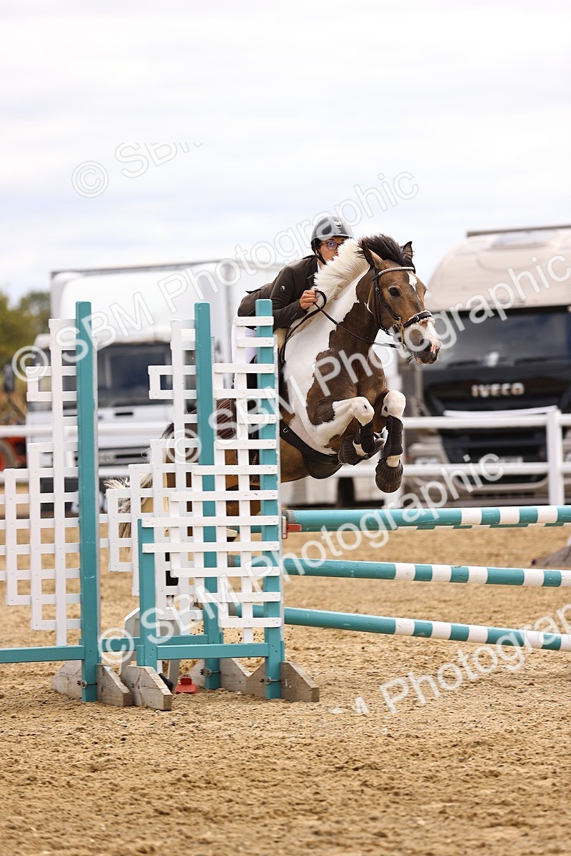 SBM_000375 - Class 3 - Senior British Novice - 90cm