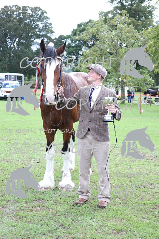 APP_3397 - Class 5 In Hand Championship