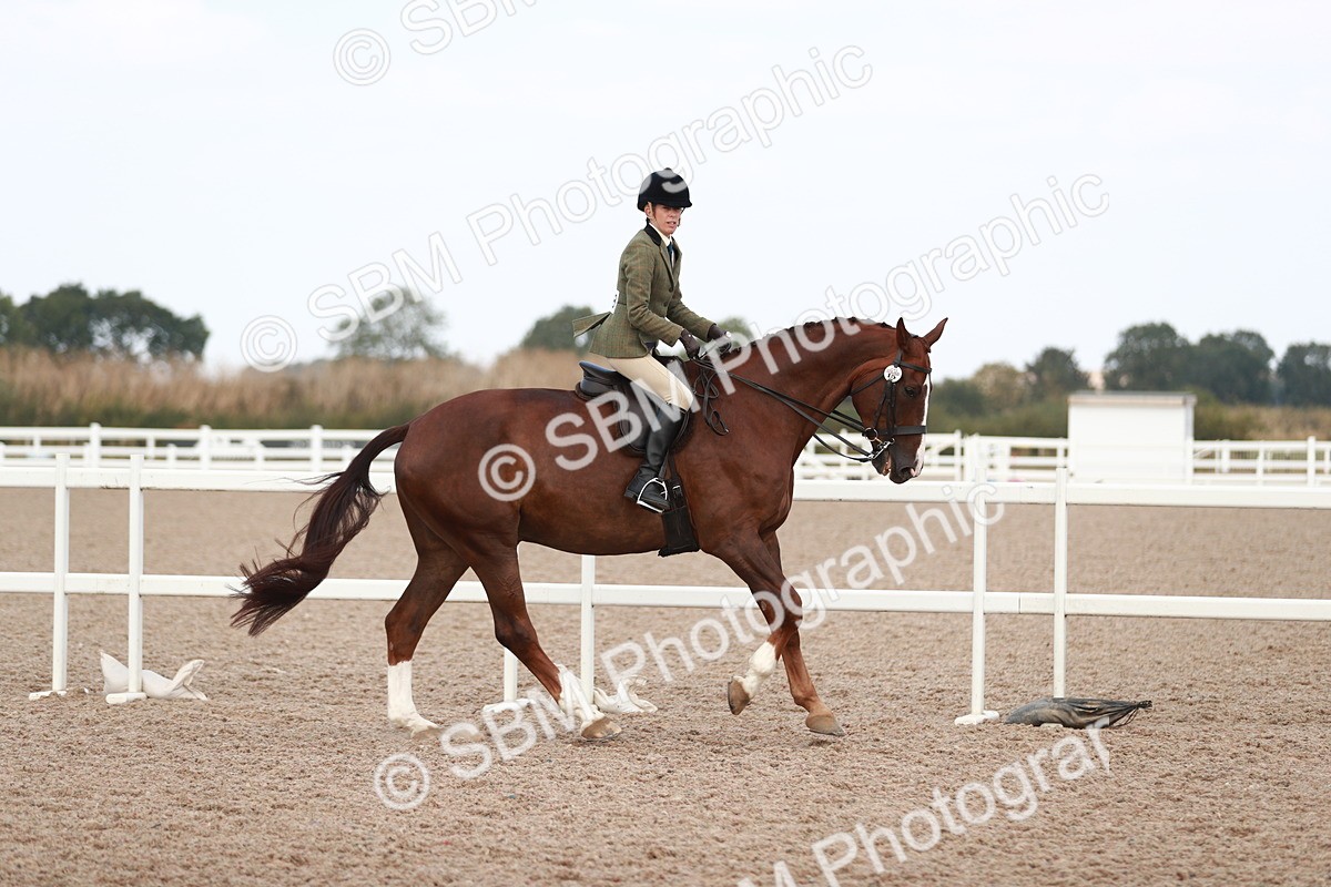 SBM_15498 - Class 213 Ridden Hunter -Large