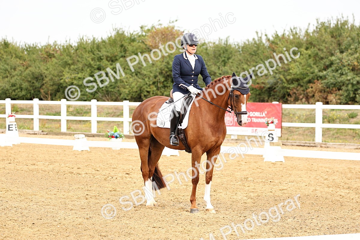 SBM_012313 - Class 2 - Prelim 5