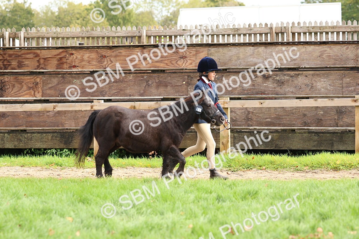 SBM_40723 - S25 -  Veteran In Hand