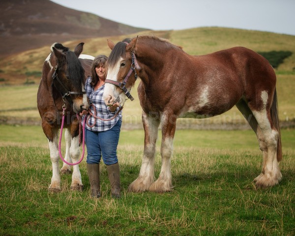 jane horses-14 - Janes Horses