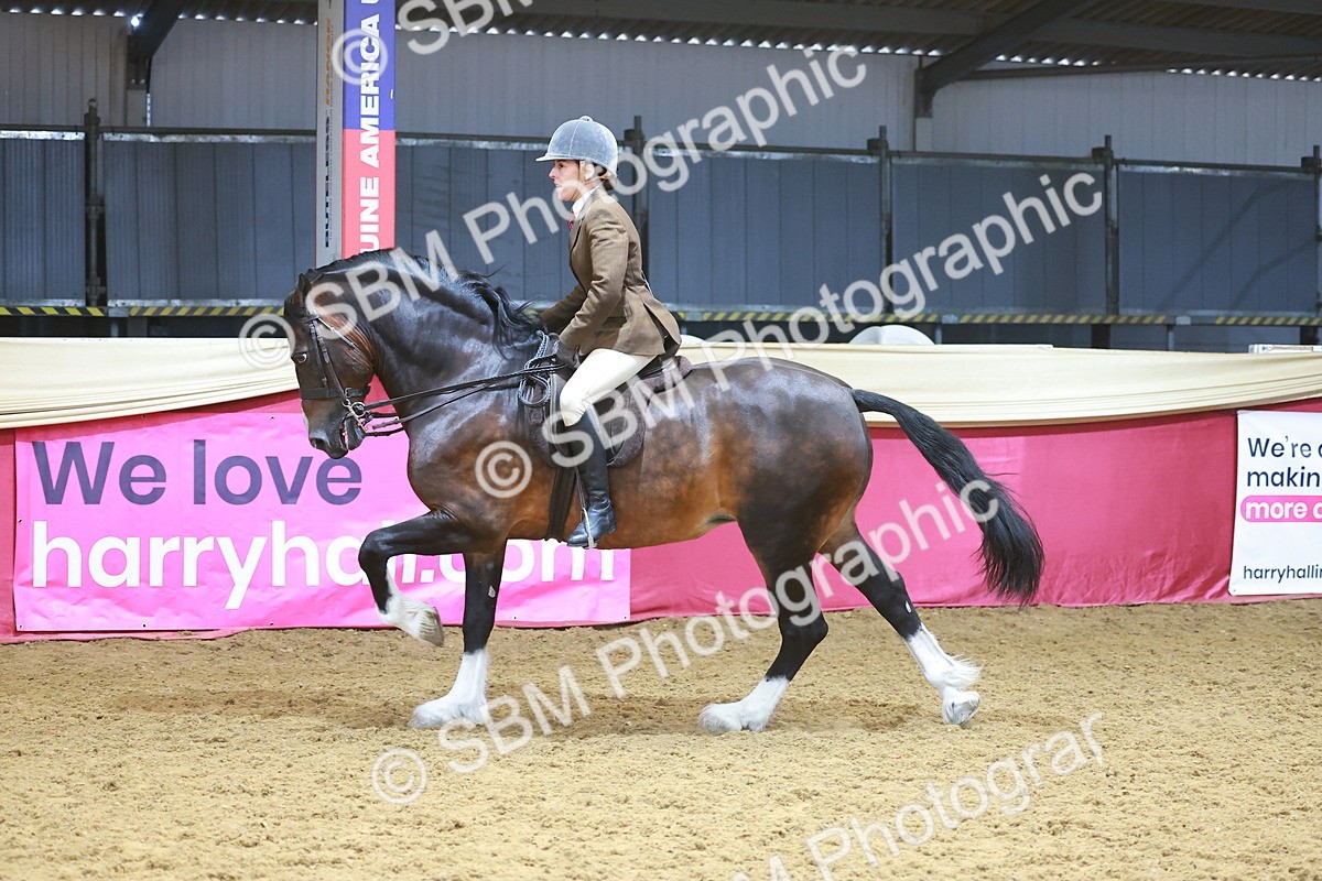 SBM_12481 - Class 103 - HOYS Veteran Qualifier - Ridden Pre Vet