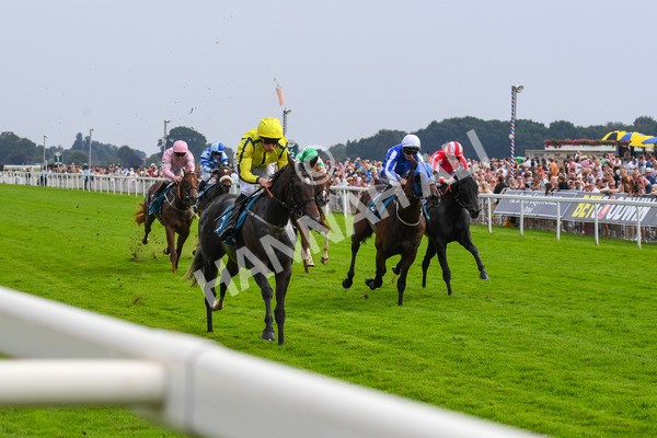 100923-Race 4-Tropical Island-0775 - Race 4 3.15pm Edge Windows Nursery Handicap at York