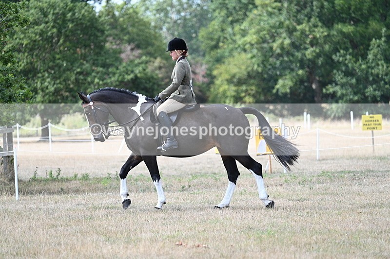 WJ7_5765 - Class 13 Ridden Veterans