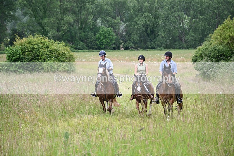 WJ6_8448 - Camera 1 Gallops