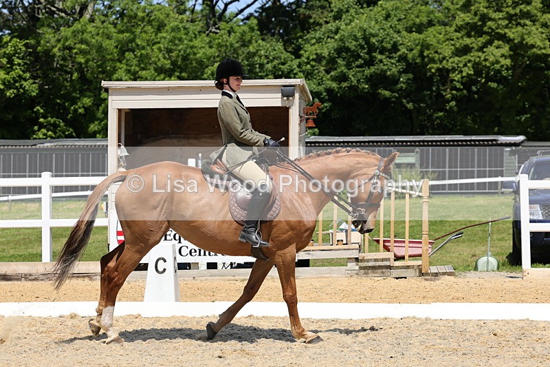 1X9A1837 - Class 12: Ridden Riding Horse/Hack