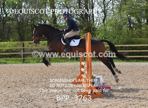 BPP_3763 - CLASS 3 Senior British Novice/ 90cm Open