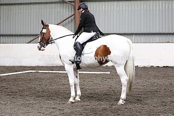 SIAL4565 - CAbin Dressage 5th july 2025