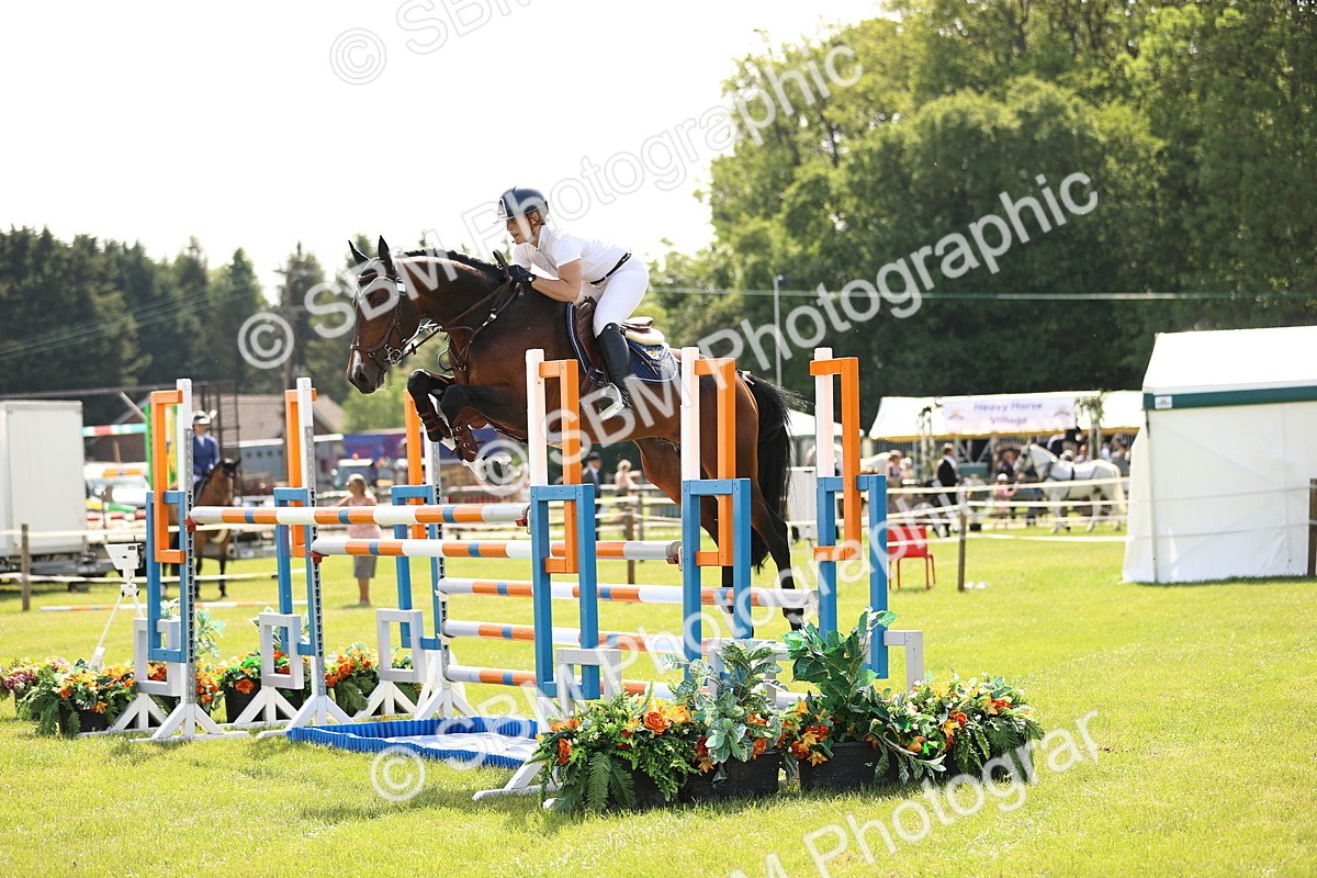 SBM_03029 - Class 201 - British Horse Feedds Speedi Beet HOYS Grade C