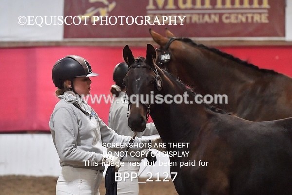 BPP_2127 - AFTERNOON 12.30 - 3.30PM