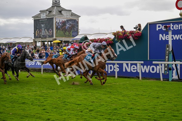 220824-Race 3-Thunder Run-7047 - Race 3 3.00pm Clipper Handicap