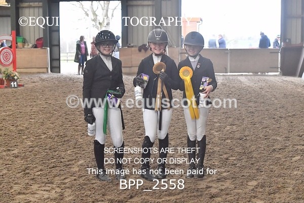 BPP_2558 - CLASS 16 Pony BritiNovice / 0.80m Open