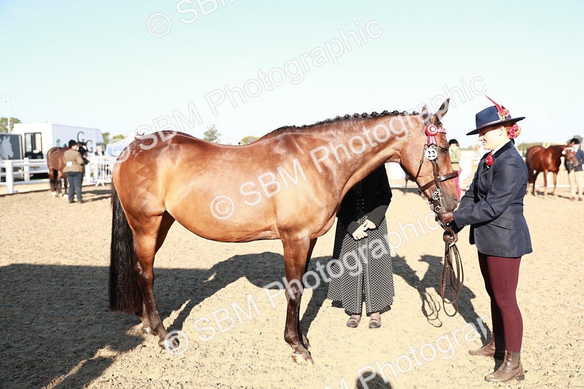 SBM_00065 - Class 40 Best Turned Out IH