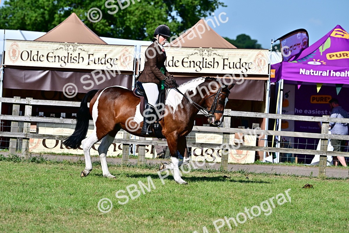 SBM_19550 - Class 101-102 - BSPS LIHS Performance Coloured Horse/Pony