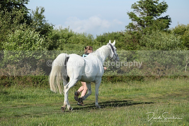 SPXX0102 - Friday vetting