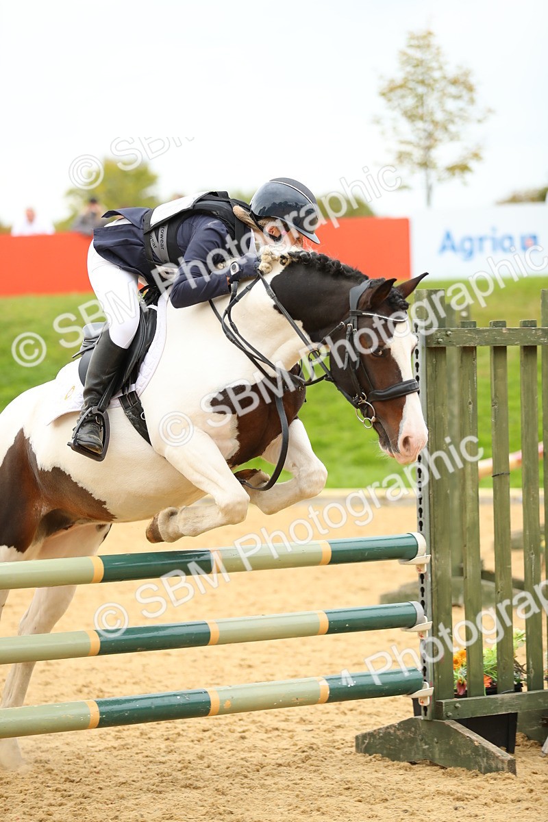 SBM_75980 - J19 - Junior 90cm Supreme Championship