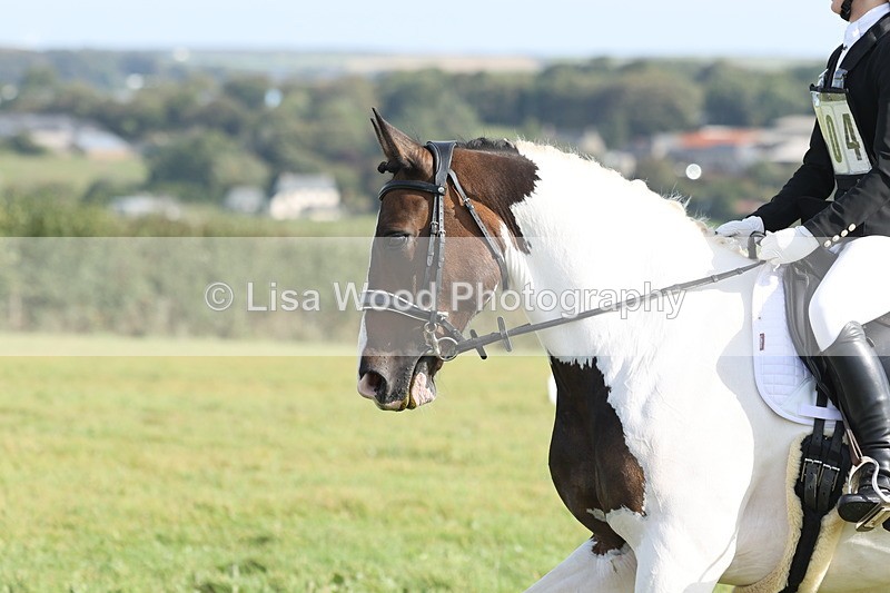 JPP_8135 - Class 2A: Trekenning Open: Dressage