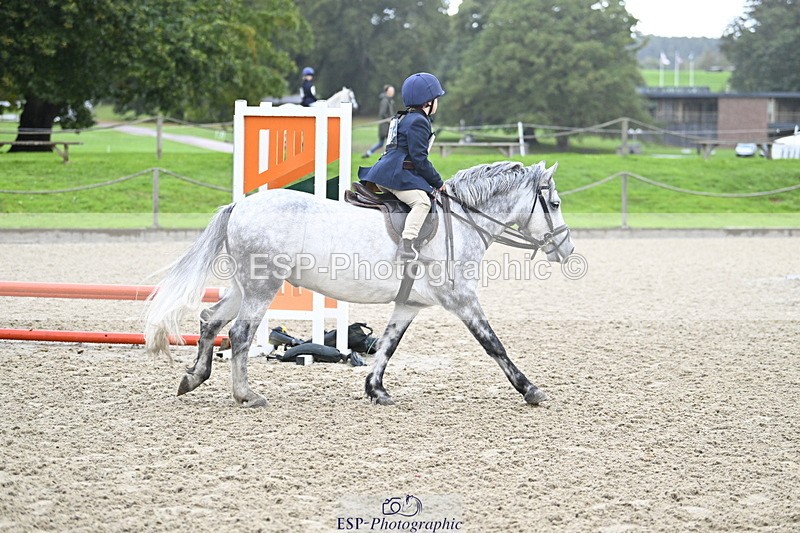 251005A-084828-02848 - Cls 02 GR 50cm