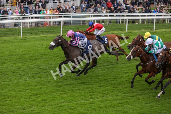 120724-Race 2-Flora Of Bermuda-1639 - Race 2 2.40pm William Hill Summer Stakes