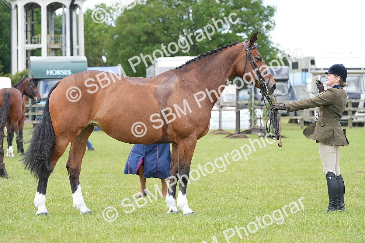 SBM_15045 - Class 100-102 - RIHS Working Hunter