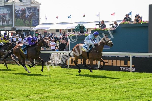 140525-Race 2-Rousing Encore-1828 - Race 2 2.42pm Churchill Tyres Handicap