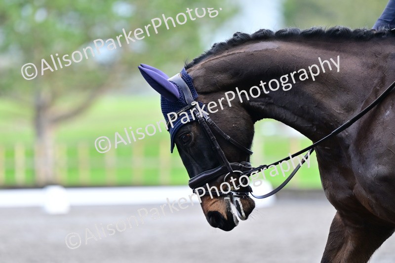 20260125-3958 - Class 12 - Novice