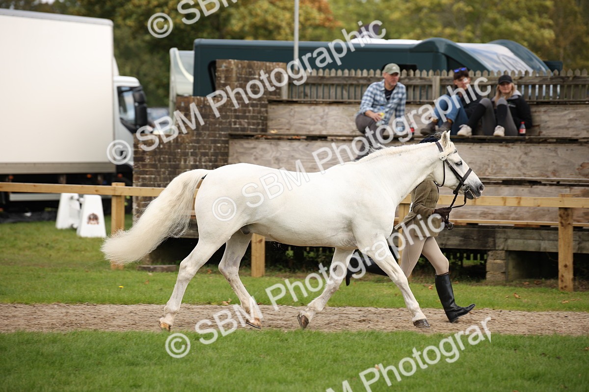 SBM_46328 - S25 - Mature Veteran In Hand